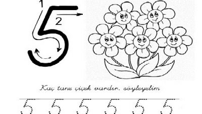 5 Rakamı Çizgi Çalışması