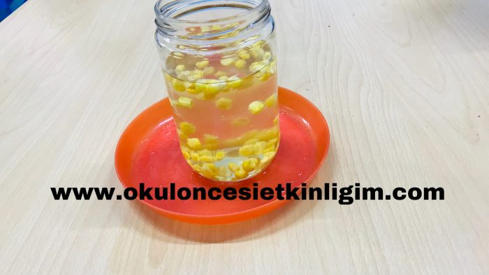 Dans Eden Mısırlar Deneyi