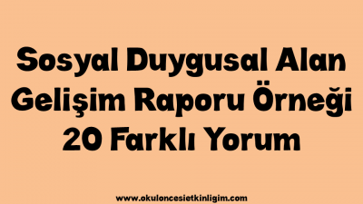 Sosyal Duygusal Alan Gelişim Raporu Örneği – 20 Farklı Yorum