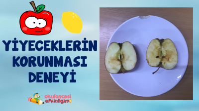 Yiyeceklerin Korunması Deneyi