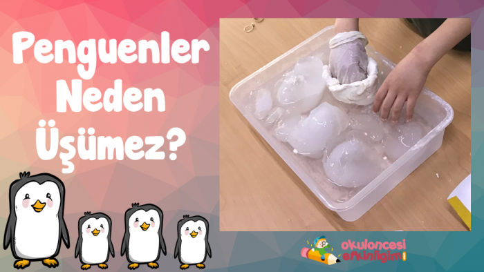 Kutupta Yaşayan Hayvanlar Neden Üşümez ? Deneyi